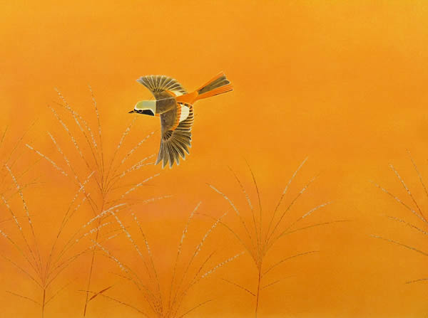 Japanese Bird paintings and prints by Atsushi UEMIURA