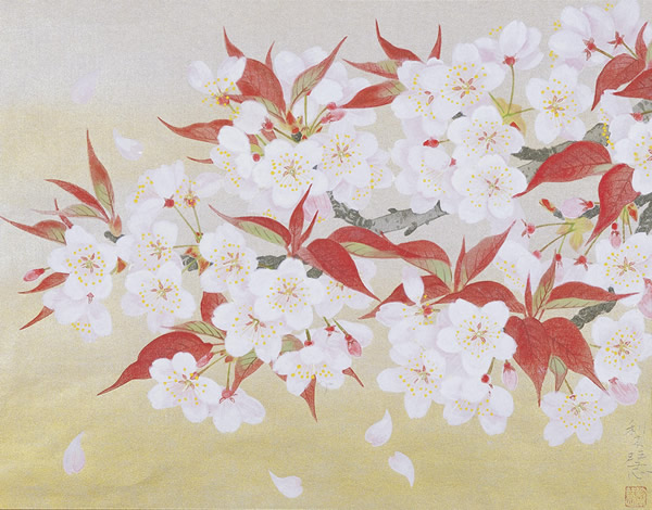 Wild Cherry Blossoms, woodcut by Rieko MORITA
