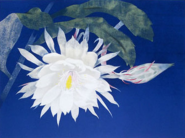 Japanese Floral or Flower paintings and prints by Toshio MATSUO