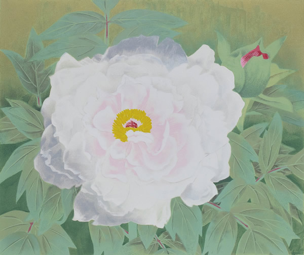 Japanese Peony paintings and prints by Toshio MATSUO