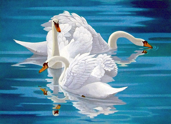 Japanese Swan paintings and prints by Yasushi SUGIYAMA