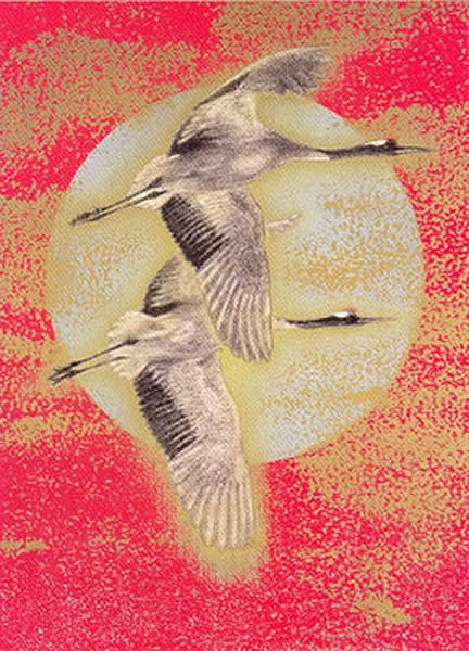 Young Hawk, lithograph by Yoshihiro SHIMODA
