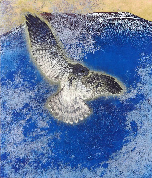 Japanese Hawk or Falcon paintings and prints by Yoshihiro SHIMODA